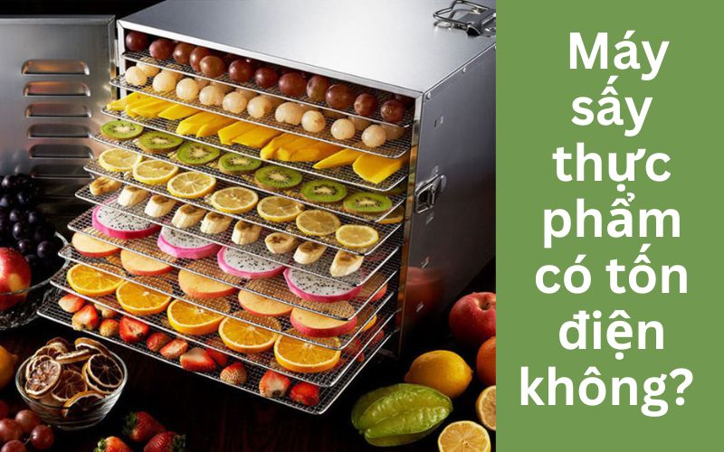 Máy sấy thực phẩm có tốn điện không_ 